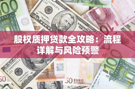 北京股权质押贷款全攻略：流程详解与风险预警
