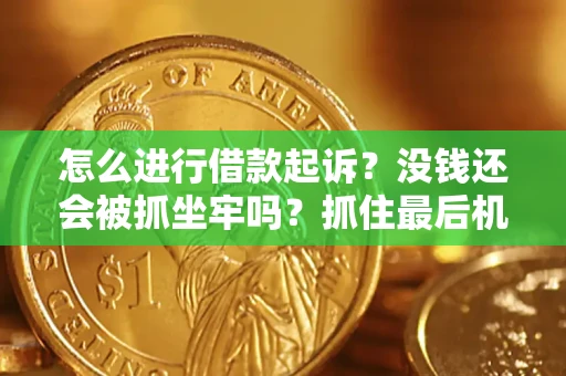 北京怎么进行借款起诉？没钱还会被抓坐牢吗？抓住最后机会！