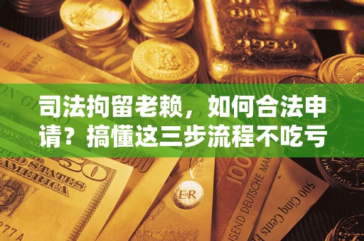 北京司法拘留老赖，如何合法申请？搞懂这三步流程不吃亏！