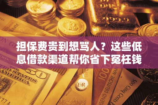 北京担保费贵到想骂人？这些低息借款渠道帮你省下冤枉钱