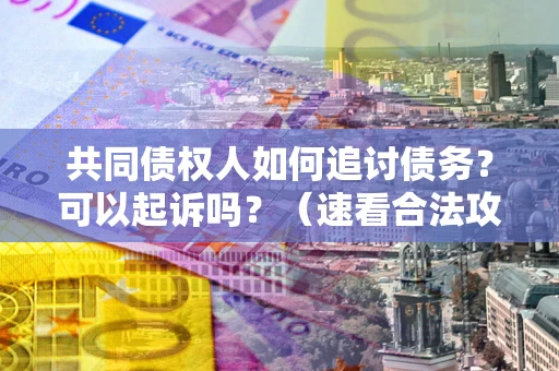 北京共同债权人如何追讨债务？可以起诉吗？（速看合法攻略）
