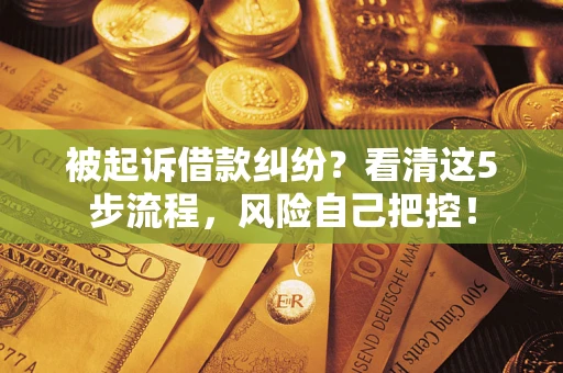 北京被起诉借款纠纷？看清这5步流程，风险自己把控！